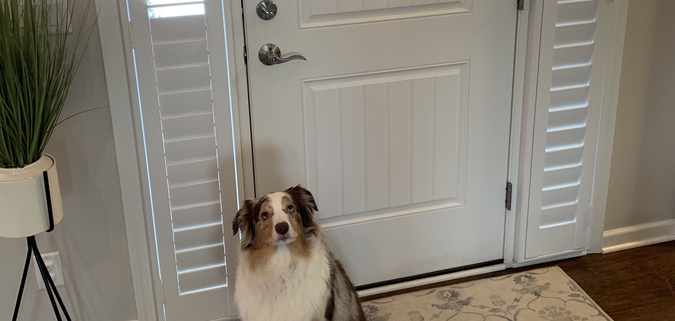 Sidelight sales dog door